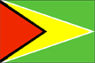 [Country Flag of Guyana]