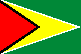 Flag of Guyana