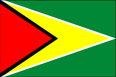 Flag of Guyana