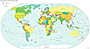 political world