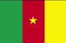 Flag of Cameroon