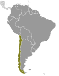 Location of Chile