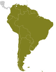 SOUTH AMERICA