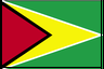 Flag of Guyana